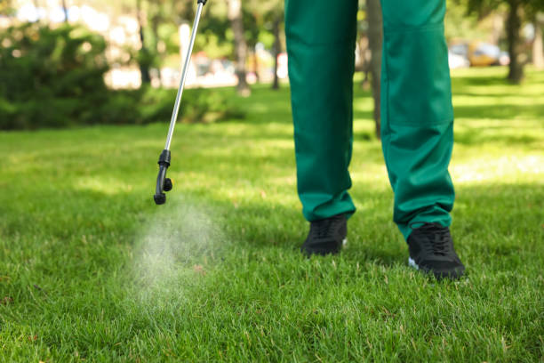 Best Affordable Pest Control Services  in Leesburg, VA