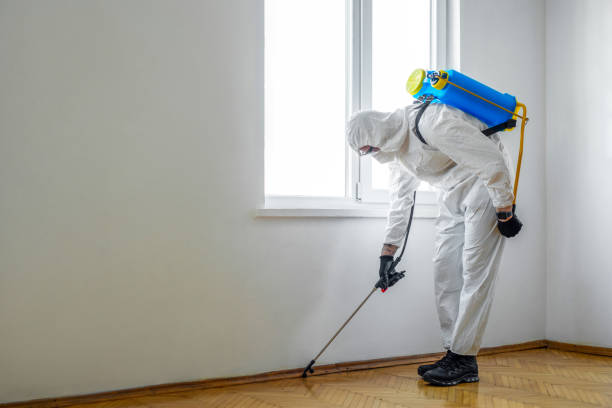 Best Residential Pest Control  in Leesburg, VA