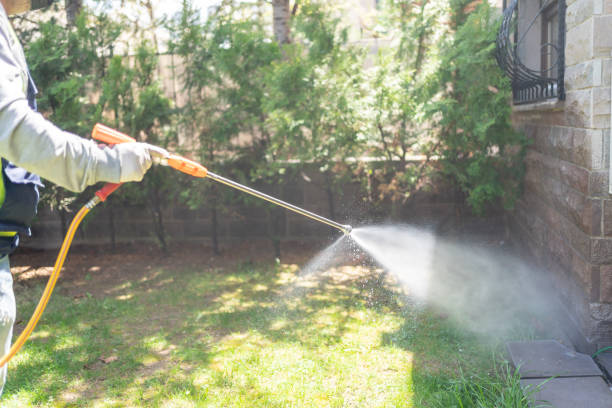 Best Mosquito Control Services  in Leesburg, VA