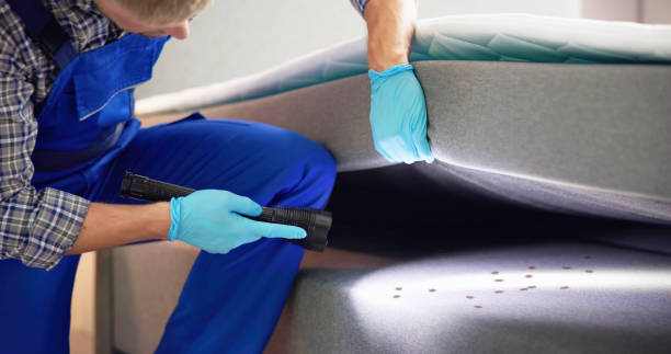 Best Emergency Pest Control  in Leesburg, VA