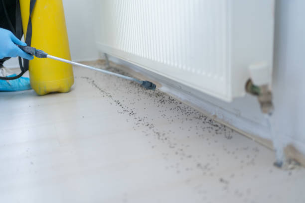  Leesburg, VA Pest Control Pros