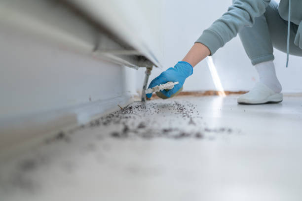 Leesburg, VA Pest Control Company